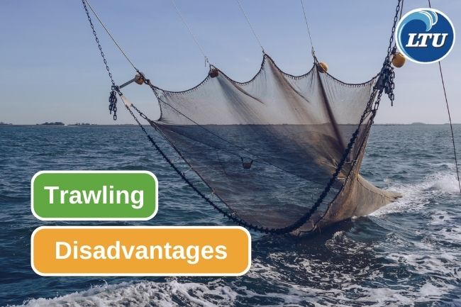 5 Advantages of Trawl as a Fishing Gear
